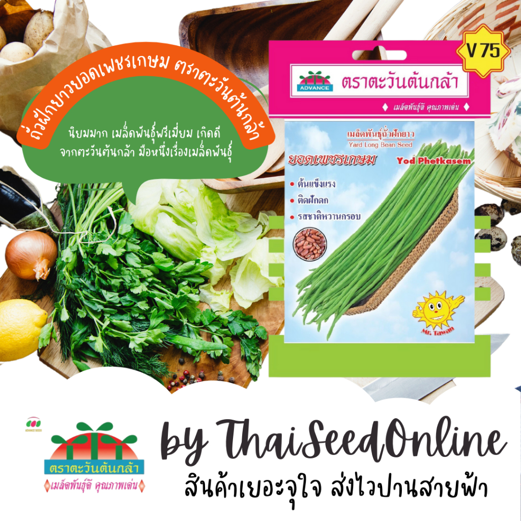Advance Seeds(ตราตะวันต้นกล้า) ADVOP ซฟ เมล็ดพันธุ์ ถั่วฝักยาวยอดเพชรเกษม ตราตะวันต้นกล้า H46