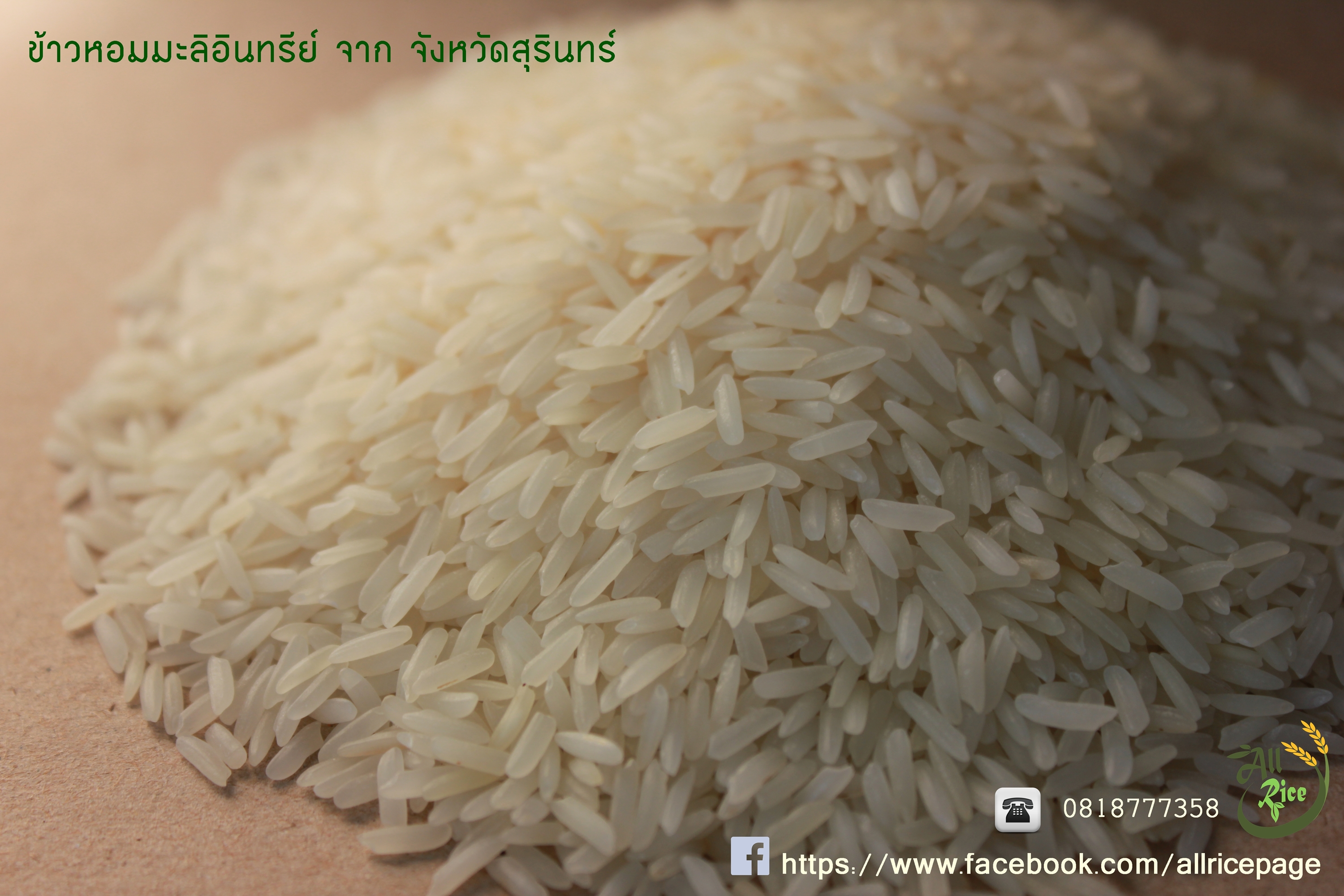 ข้าวหอมมะลิสุรินทร์100% 1 กิโลกรัม