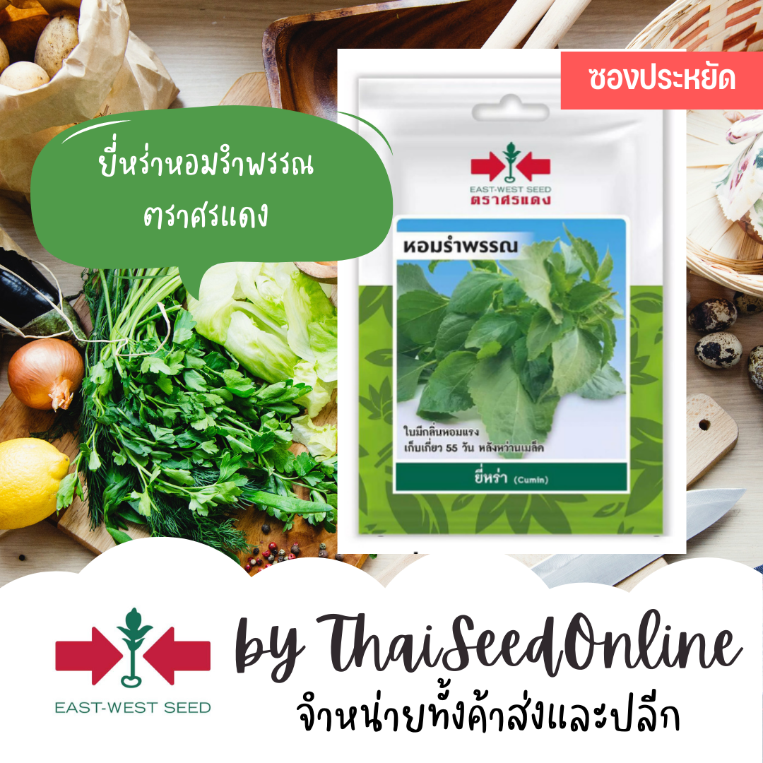 ศรแดง VP3 ซฟ เมล็ดพันธุ์ ยี่หร่า หอมรำพรรณ 200เมล็ด ตราศรแดง Shrubby Basil