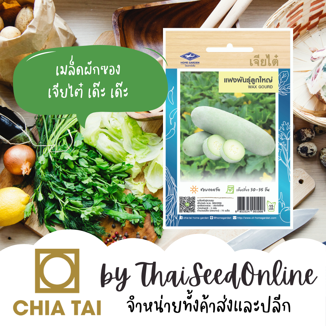 CTOP เมล็ดพันธุ์ แฟง พันธุ์ลูกใหญ่ 75 เมล็ด ตราเจียไต๋ Wax Gourd