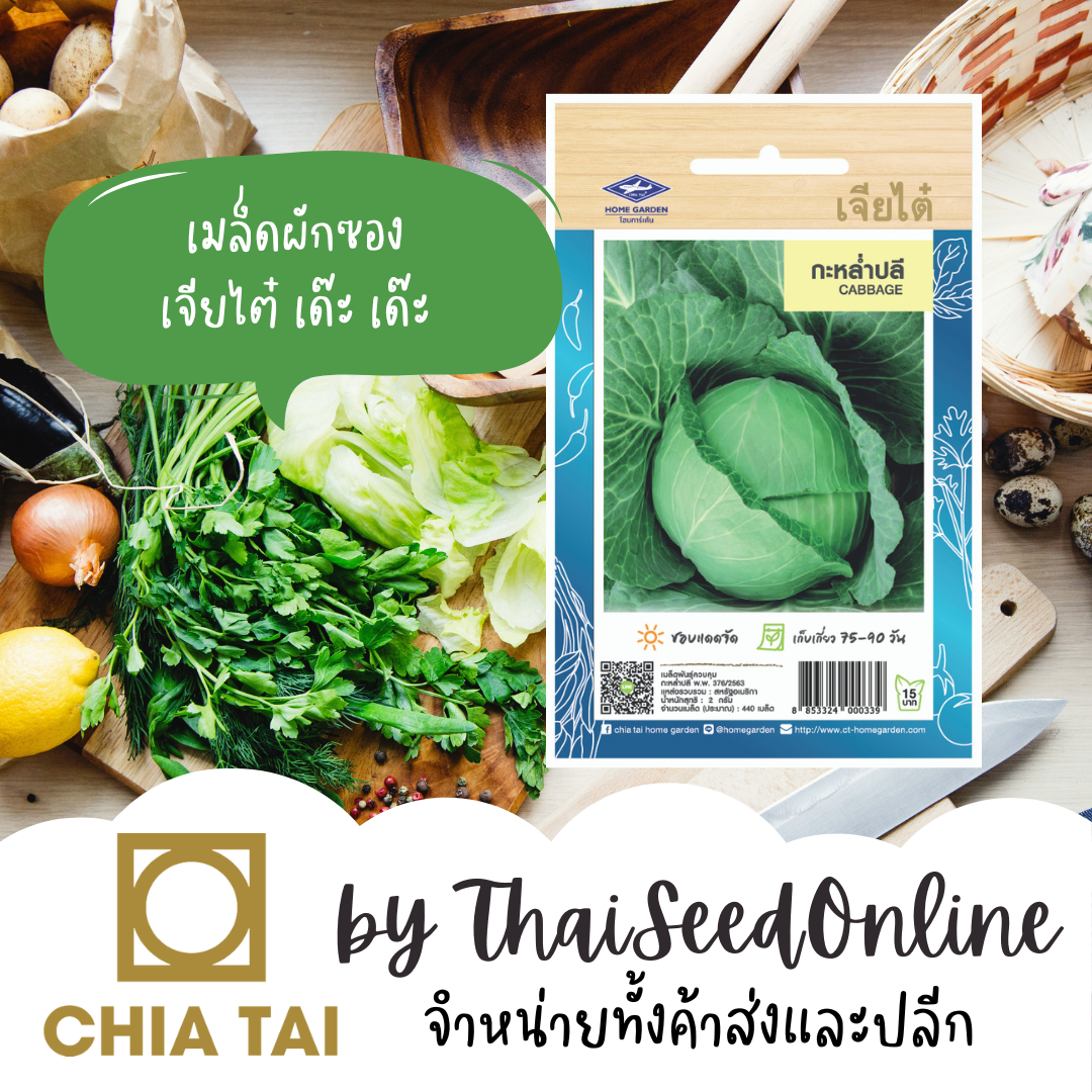 CTOP เมล็ดพันธุ์ กะหล่ำปลี ประมาณ 440 เมล็ด ตราเจียไต๋ Cabbage