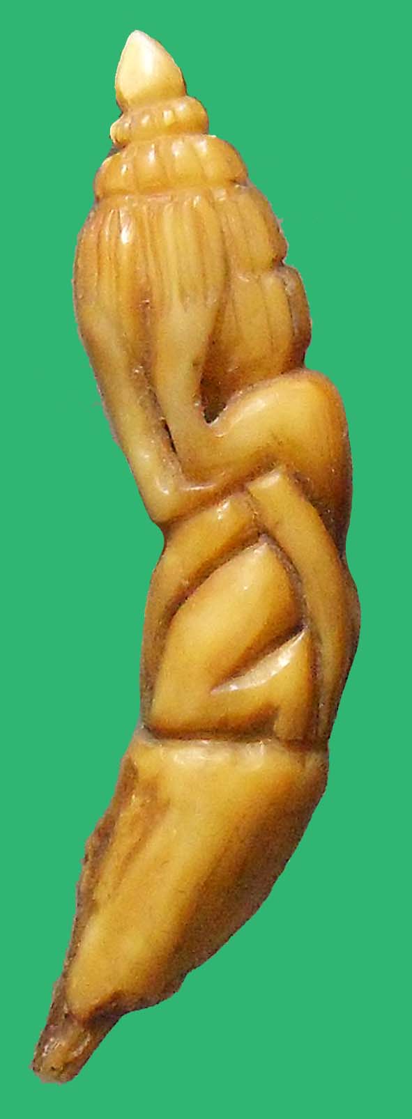 พระปิดตาเขี้ยวเสือแกะเก่า (ขนาด 1 x 5 ซ.ม. หนัก 4.48 กรัม)