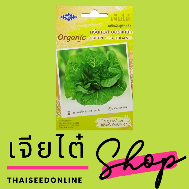 🔥ใหม่ล่าสุดจากโรงงาน🔥เมล็ดพันธุ์ สลัดออร์แกนิค กรีนคอสออร์แกนิก ตราเจียไต๋ LETTUCE ผักสลัด ผักกาดหอม