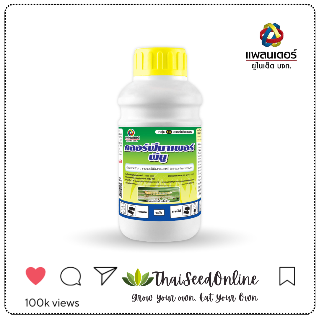 PTU ขวด500ซีซี คลอฟีนาเพอร์ พียู แพลนเตอร์ยูไนเต็ด
