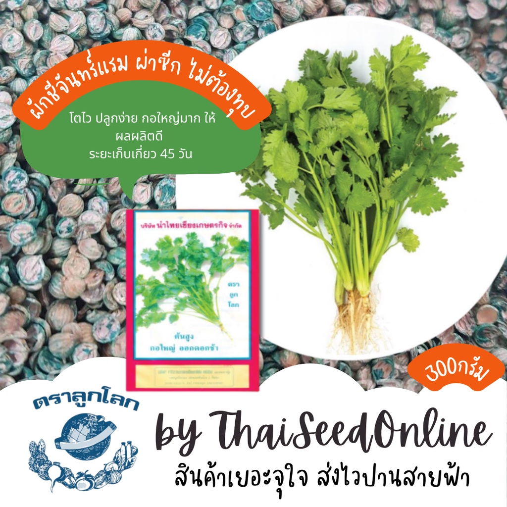 เมล็ดพันธุ์ ถุง 300 กรัม ผักชีต้นใหญ่ ผักชี จันทร์แรม ตราลูกโลก