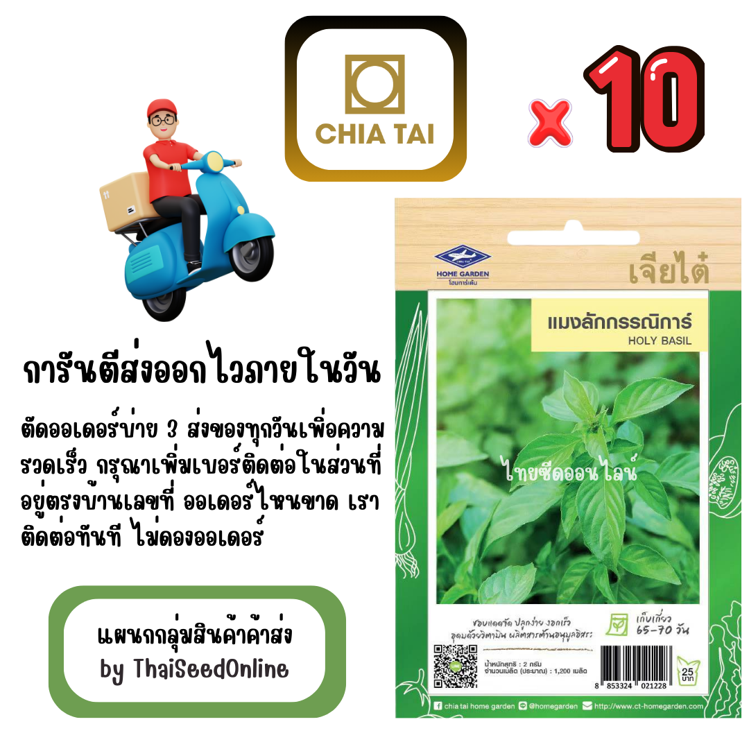 CTF1 x 10 เมล็ดผักซองเจียไต๋ แมงลัก กรรณิการ์ สินค้ายกแพ็ค