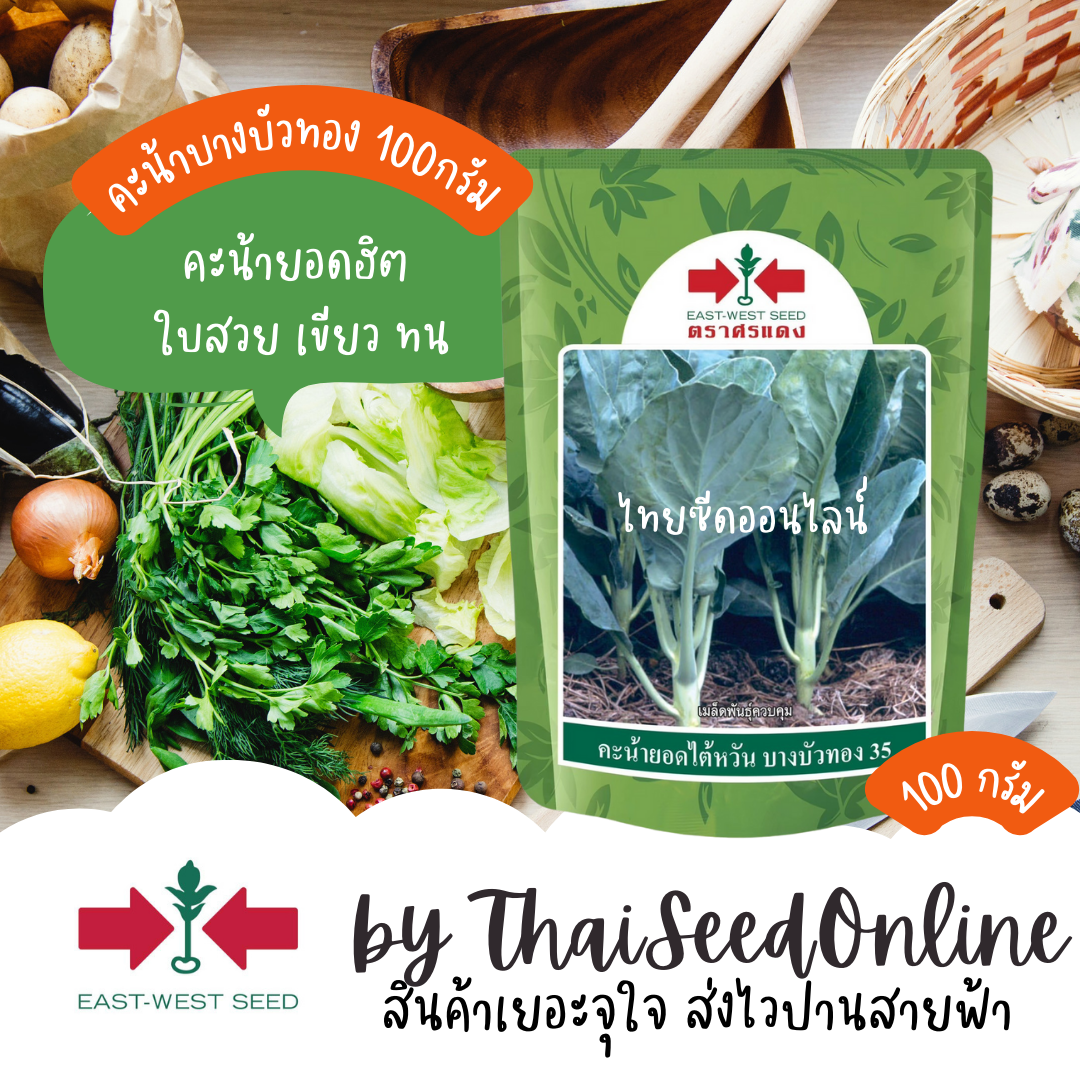 EWCOM เมล็ดพันธุ์ คะน้าบางบัวทอง35 100 กรัม ตราศรแดง Bangbuathong35 Chinese Kale
