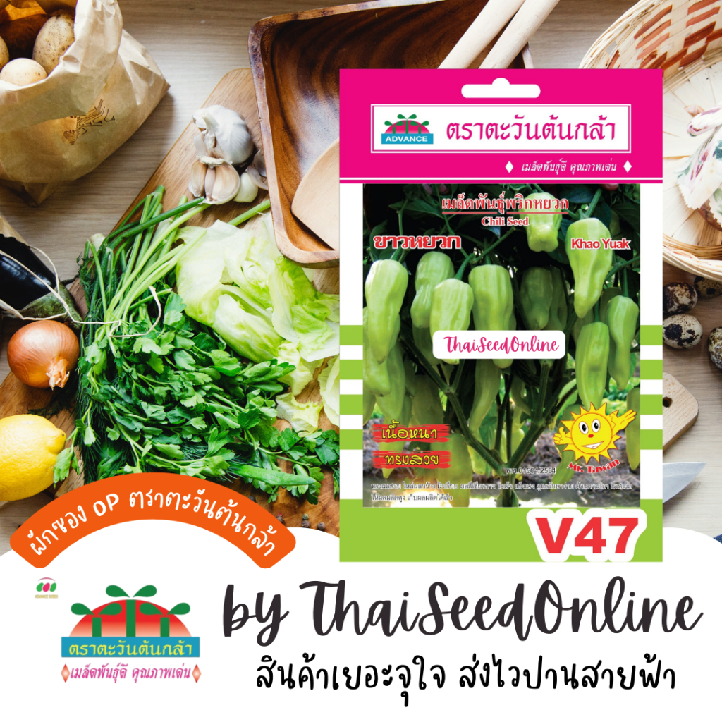 Advance Seeds(ตราตะวันต้นกล้า) ADVOP ซฟ เมล็ดพันธุ์ พริกหยวก ขาวหยวก ตราตะวันต้นกล้า V73