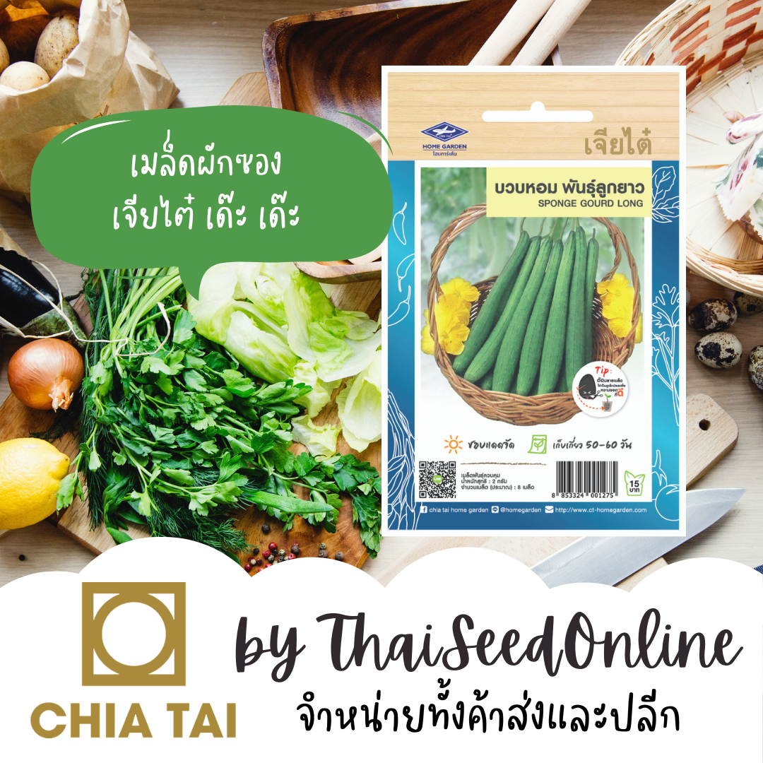 CTOP เมล็ดพันธุ์ บวบหอมลูกยาว ตราเจียไต๋ Long Sponge Gourd