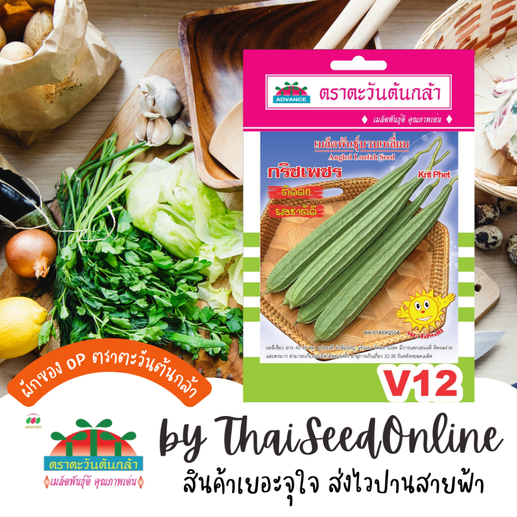 Advance Seeds(ตราตะวันต้นกล้า) ADVOP ซฟ เมล็ดพันธุ์ บวบเหลี่ยม กริชเพชร ประมาณ 35 เมล็ด ตราตะวันต้นกล้า V12