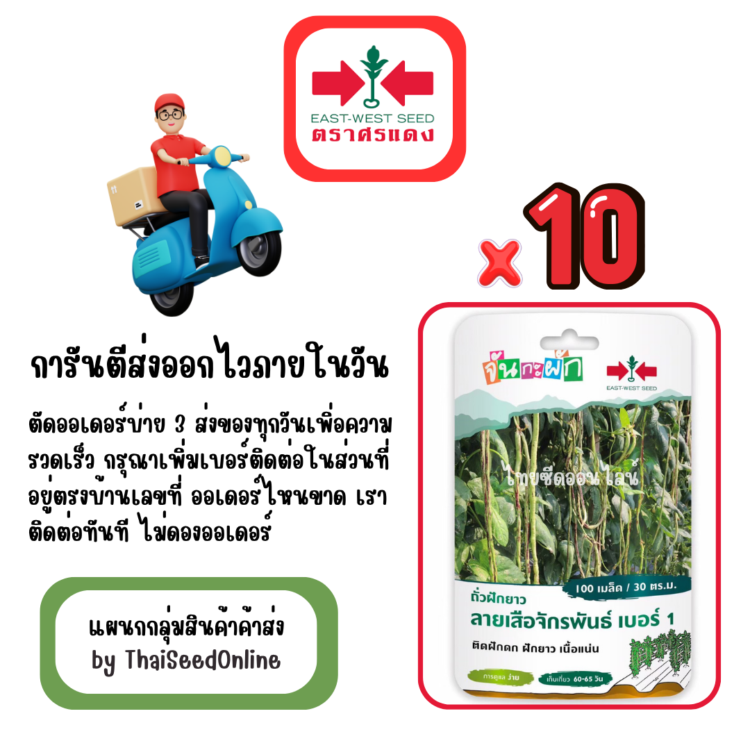 GGx10 เมล็ดผักซองศรแดง ลายเสือจักรพันธุ์ ถั่วฝักยาว สินค้ายกแพ็ค