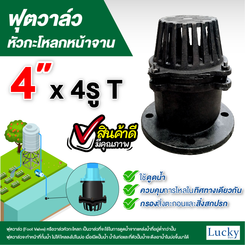 ฟุตวาล์ว (Foot Valve) วาล์วหัวกะโหลก หน้าจาน เหล็กหล่อ ขนาด 4 นิ้ว
