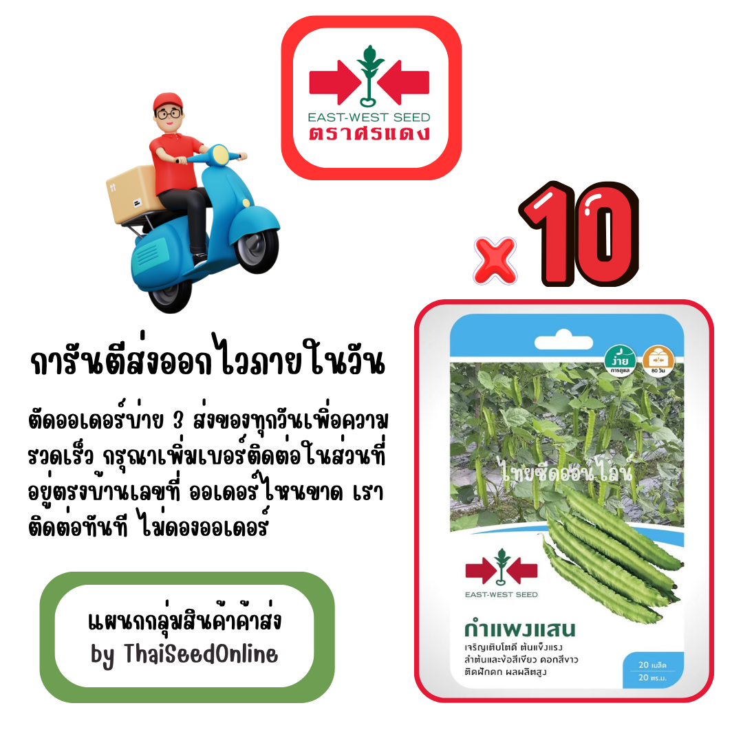 GGx10 เมล็ดผักซองศรแดง กำแพงแสน ถั่วพู สินค้ายกแพ็ค