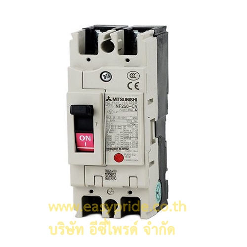 NF250 CV 2P 200A