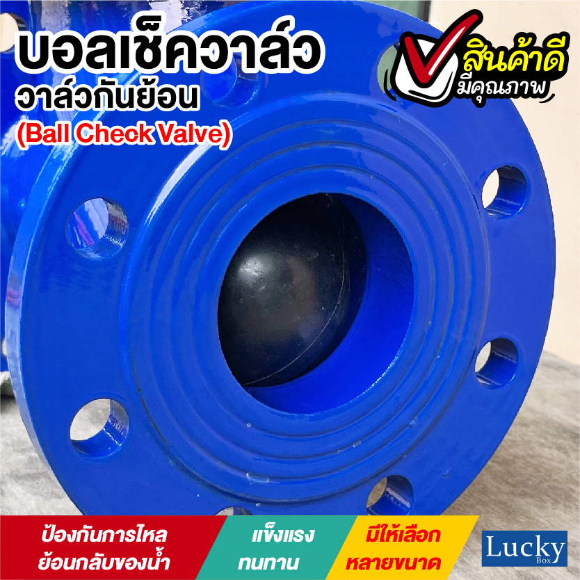 Ball Check Valve บอลเช็ควาล์ว มีหน้าแปลน ขนาด 4 นิ้ว
