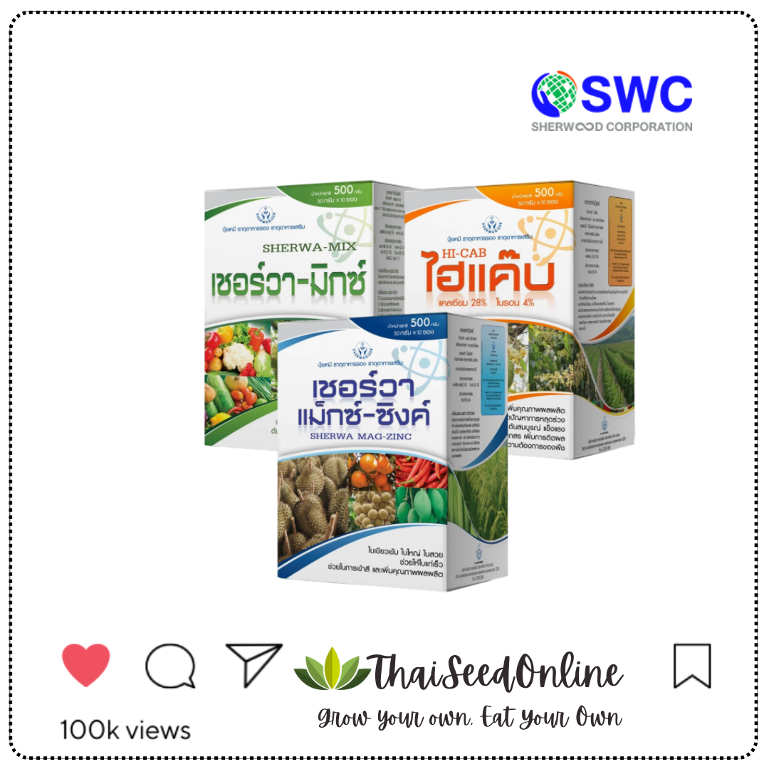 ราคาส่งยกกล่อง SWC วิตามินอาหารเสริมพืช แนะนำยกเซ็ต เชอร์วามิกซ์ ไฮแค็ป เชอร์วา แม็กซ์-ซิงค์