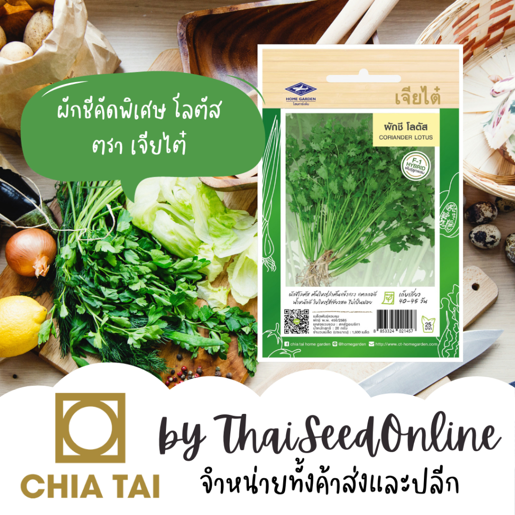 Chia Tai(เจียไต๋) CTF1 เมล็ดพันธุ์ ผักชีโลตัส ประมาณ 1000 เมล็ด ตราเจียไต๋ Coriander