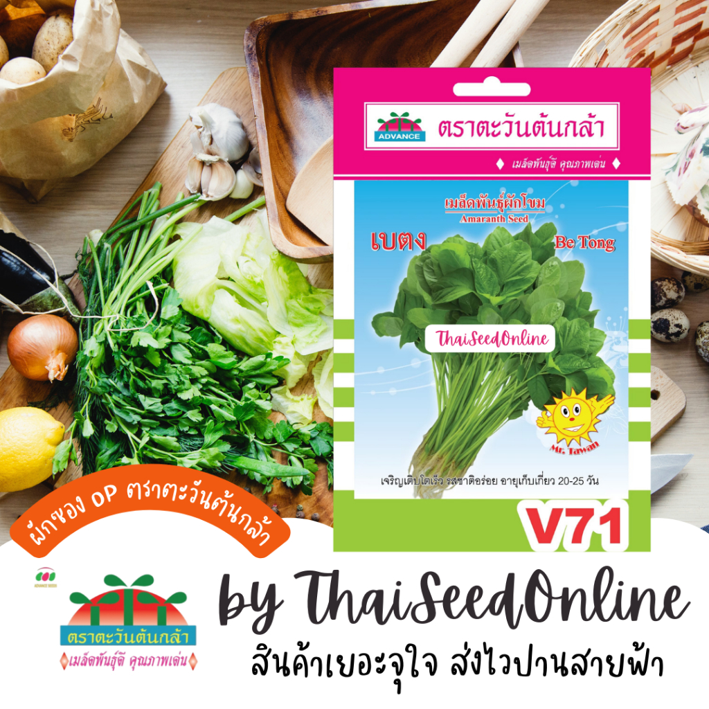 Advance Seeds(ตราตะวันต้นกล้า) ADVOP ซฟ เมล็ดพันธุ์ ผักโขมเขียว เบตง ตราตะวันต้นกล้า V71