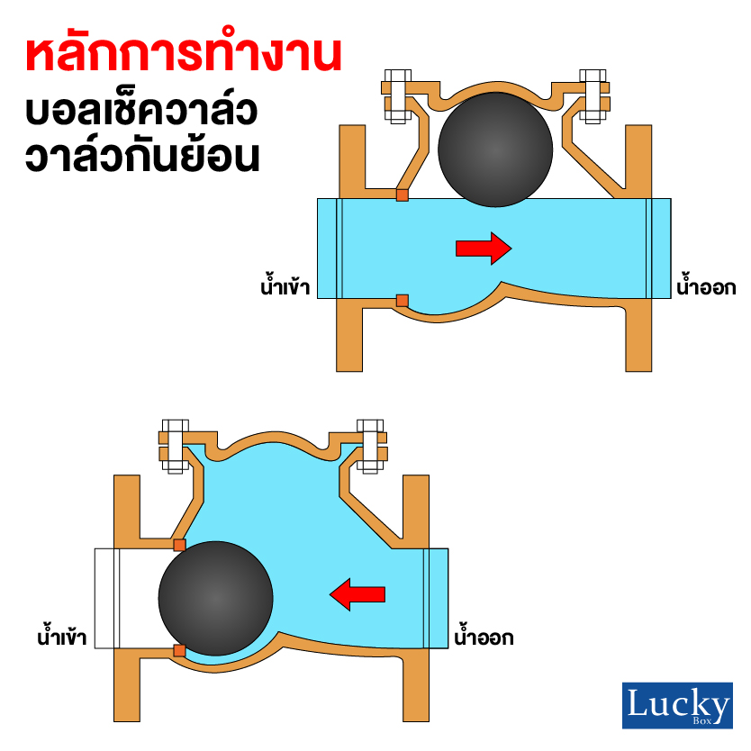 Ball Check Valve บอลเช็ควาล์ว มีหน้าแปลน ขนาด 4 นิ้ว