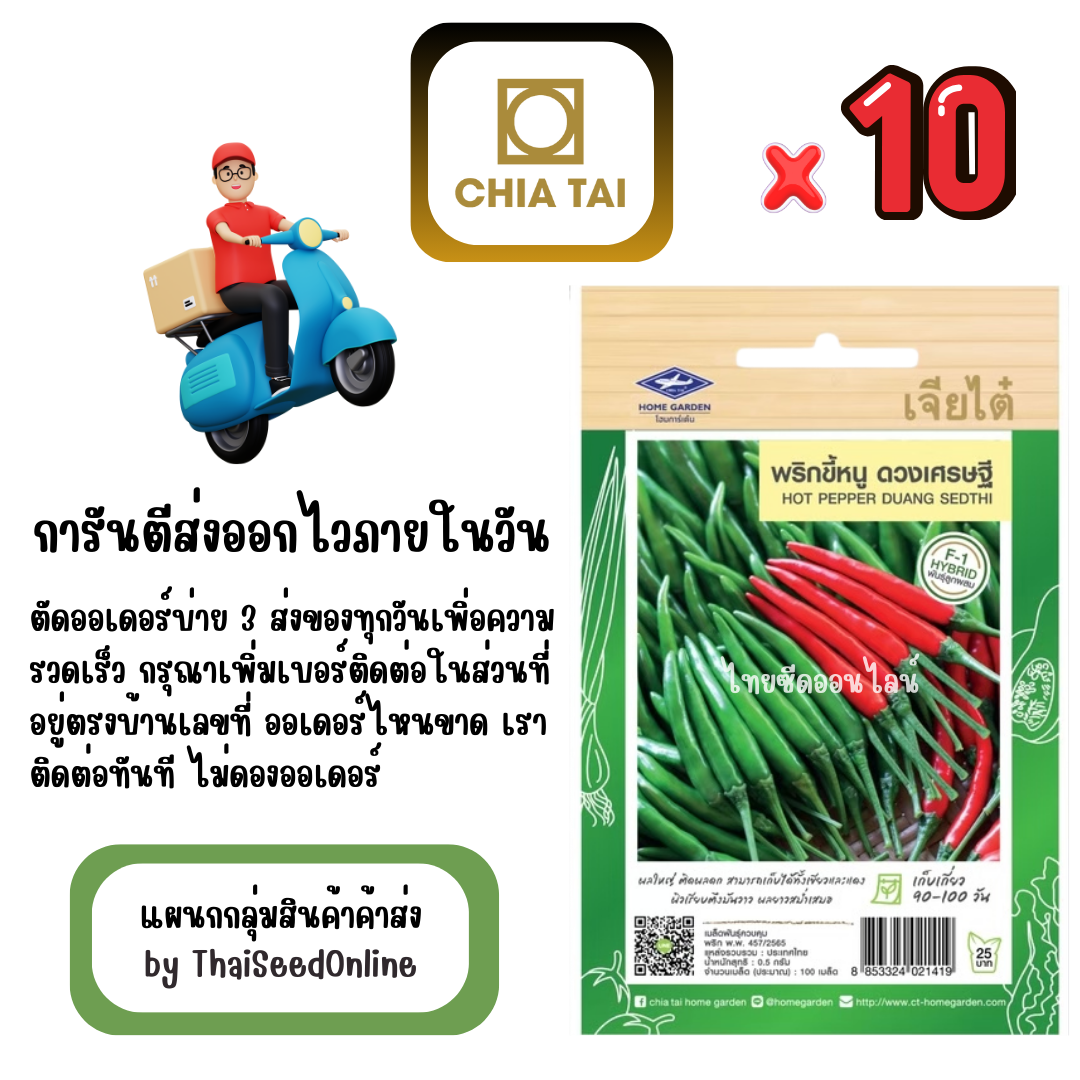 CTF1 x 10 เมล็ดผักซองเจียไต๋ พริก ดวงเศรษฐี สินค้ายกแพ็ค