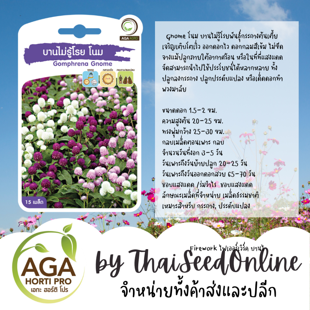 AGA Agro(เอกะ อะโกร) AGAPREMIUM บานไม่รู้โรย โนม 15เมล็ด ตราเอกะอะโกร Gomphrena
