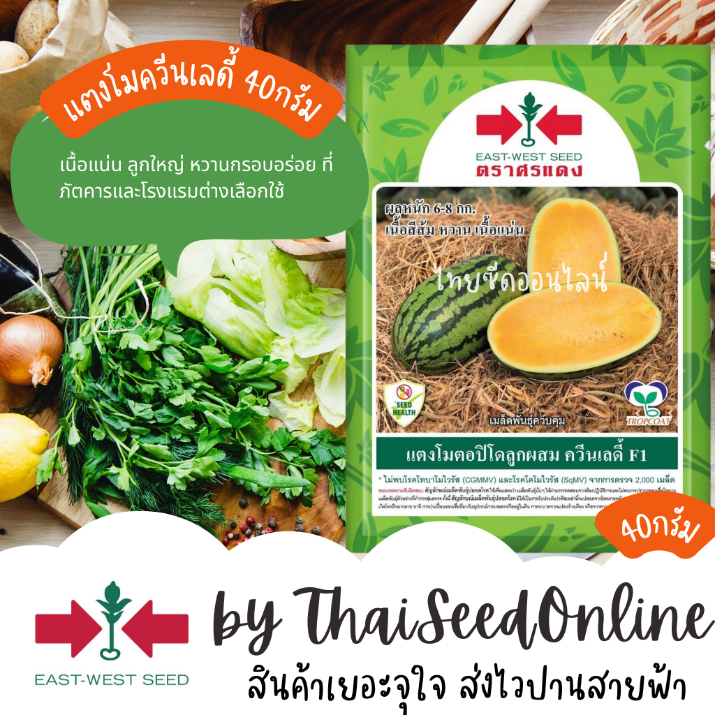 Sorndang(ศรแดง) EWCOM Exp.2/2027 แตงโมทรงตอปิโดเนื้อส้ม ควีนเลดี้ 40กรัม ตราศรแดง Queenlady Watermelon Seeds