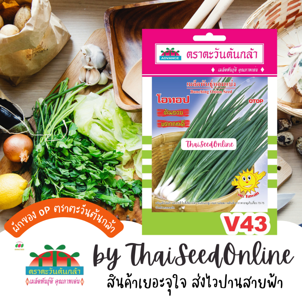 Advance Seeds(ตราตะวันต้นกล้า) ADVOP ซฟ เมล็ดพันธุ์ หอมแบ่ง โอทอป ประมาณ 200 เมล็ด ตราตะวันต้นกล้า V43