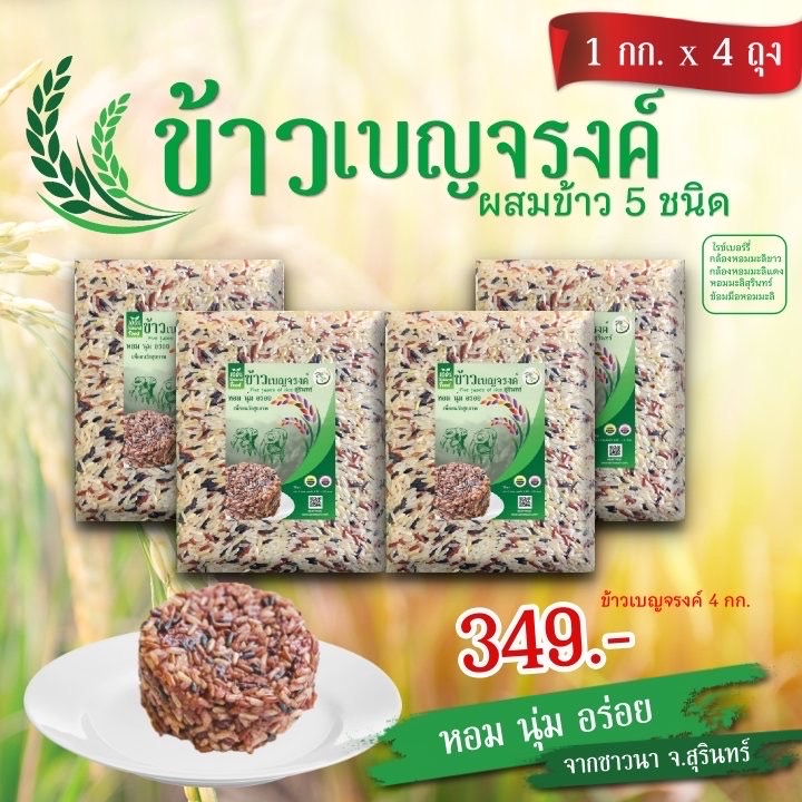 ชุดข้าวเบญจรงค์ 4 กิโลกรัม (แพ๊คละ 1 กก) ส่งฟรี