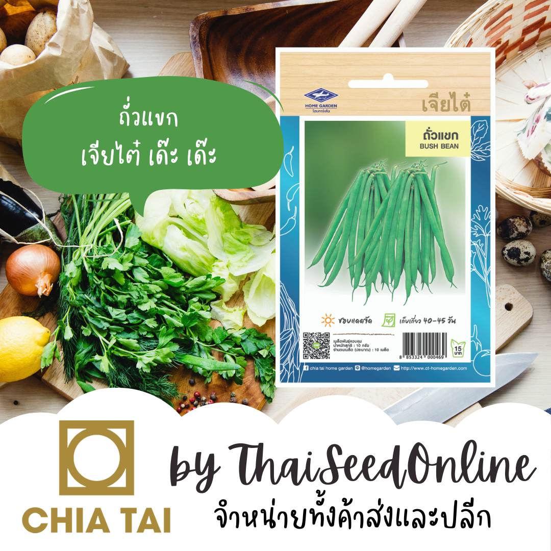 CTOP เมล็ดพันธุ์ ถั่วแขก ตราเจียไต๋ Bush Bean