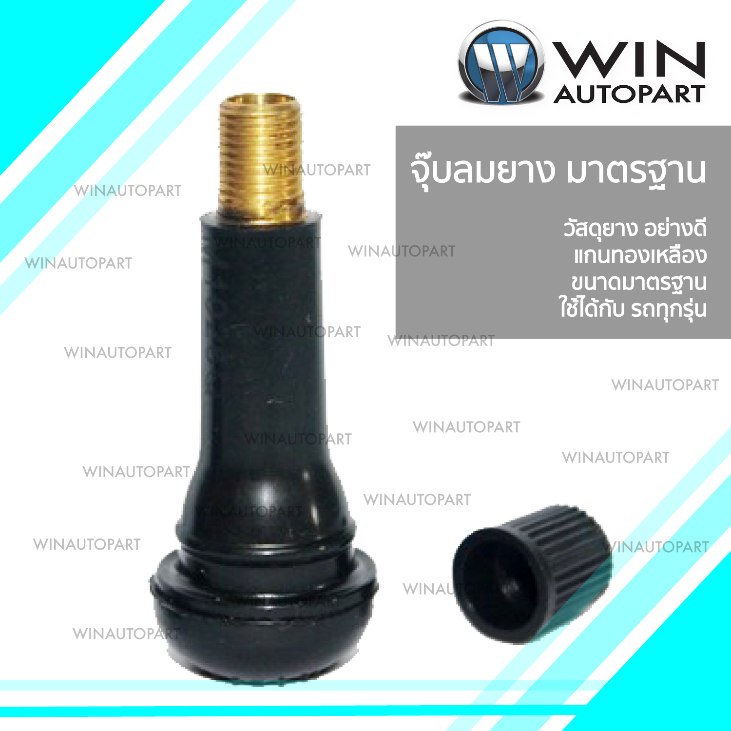 จุ๊บลม ยางมาตรฐาน สีดำ รุ่น TR413