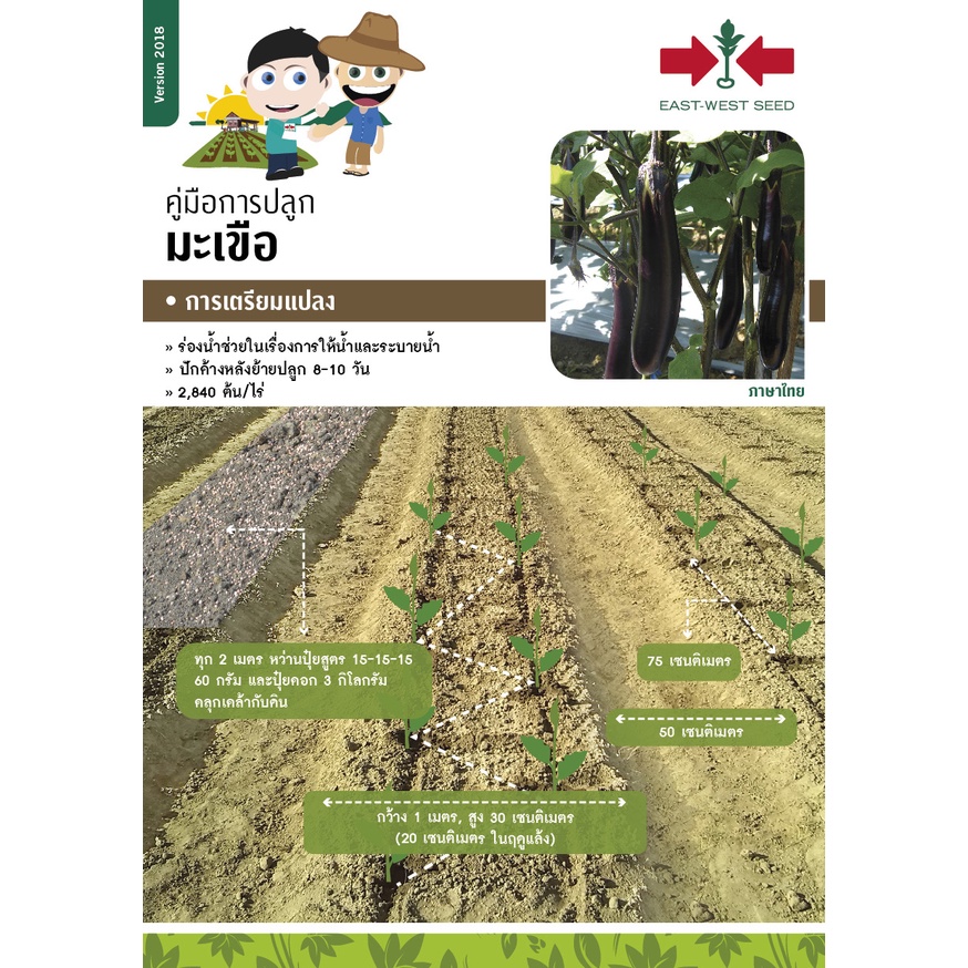 GGEW เมล็ดพันธุ์ มะเขือยาวสีเขียวลูกผสม โทมาฮอค F1 ตราศรแดง 150 เมล็ด ตราศรแดง Long Green Eggplant