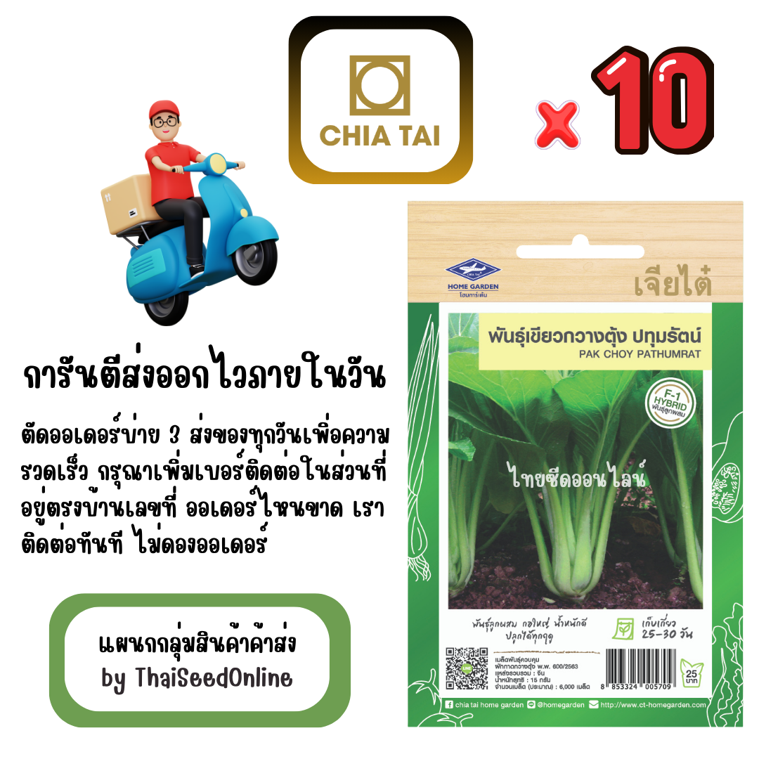 CTF1 x 10 เมล็ดผักซองเจียไต๋ เขียวกวางตุ้ง ปทุมรัตน์ สินค้ายกแพ็ค