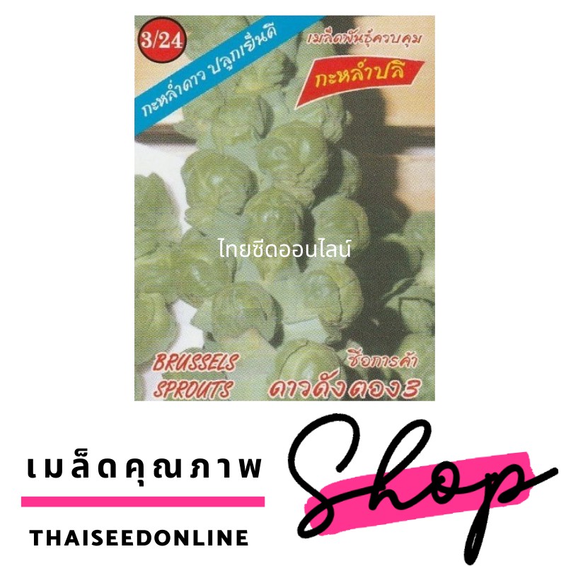 3A(สามเอ) 3A เมล็ดพันธุ์ กะหล่ำดาว 100 เมล็ด ตราสามเอ Brussel Sprouts
