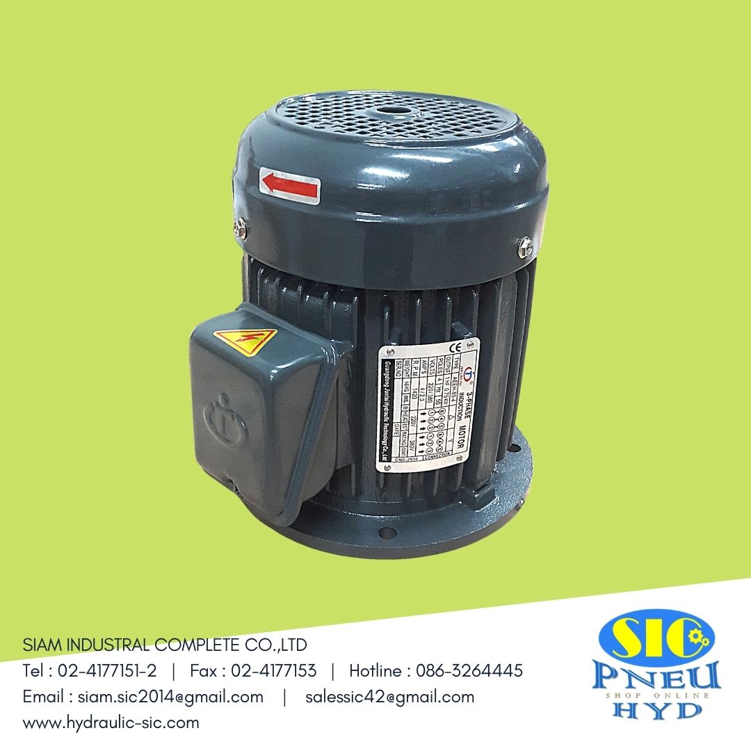 J-HSL-1HP,2HP,3HP,5HP-4P-3PH-A2-** : Electric Motor,มอเตอร์ไฟฟ้าเพลาใน แบบหน้าแปลน