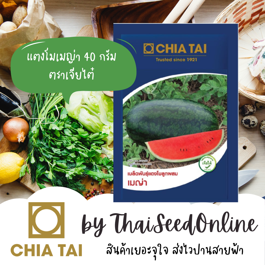 CTCOM Exp. 12/2026 ซองใหญ่40กรัม เมล็ดพันธุ์ 🍉เมล็ดพันธุ์🍉 40g. แตงโมเมญ่า ตราเจียไต๋ เมญ่า ตอปิโด