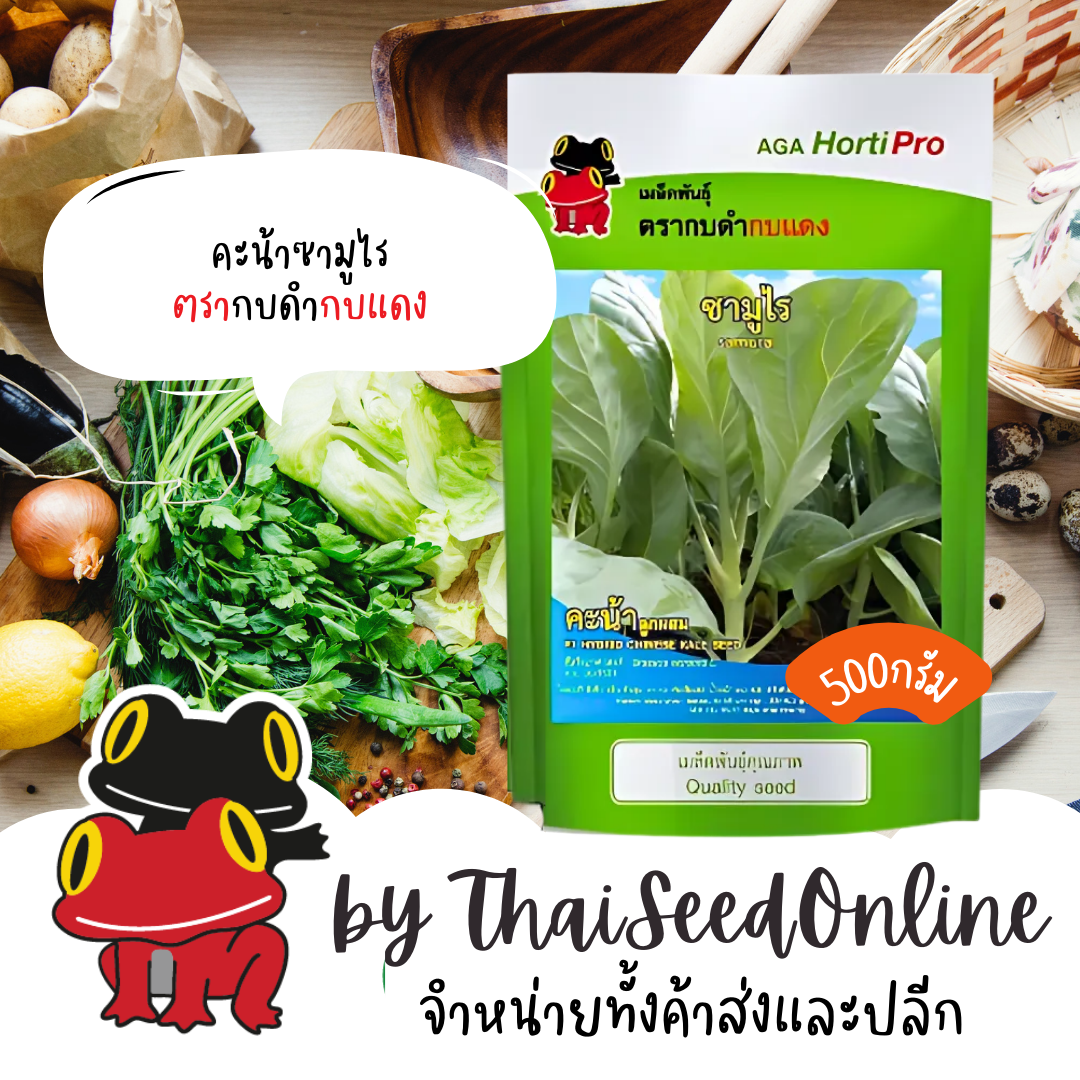 AGA Horti Pro(เอกะฮอร์ติโปร) AGACOM เมล็ดพันธุ์ คะน้าซามูไร 500 กรัม ตรากบดำกบแดง
