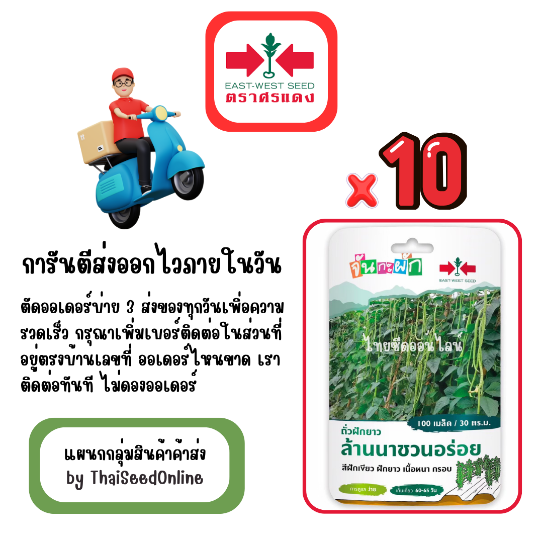 GGx10 เมล็ดผักซองศรแดง ล้านนาชวนอร่อย ถั่วฝักยาว สินค้ายกแพ็ค