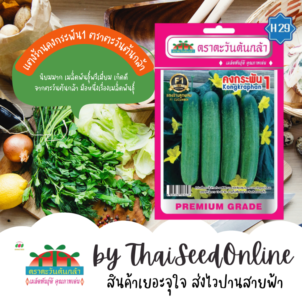 Advance Seeds(ตราตะวันต้นกล้า) ADVF1 เมล็ดพันธุ์ แตงร้าน คงกระพัน F1 ตราตะวันต้นกล้า H29
