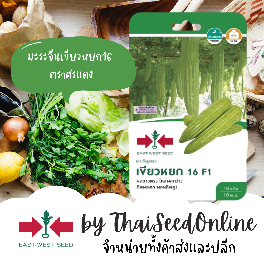 GGEW เมล็ดพันธุ์ซฟ มะระ มะระจีน เขียวหยก16 8เมล็ด ตราศรแดง Bitter Gourd มะระ
