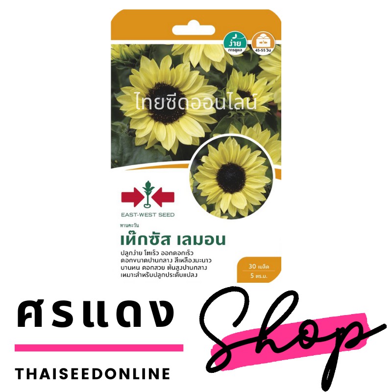 GGEW เมล็ดพันธุ์ ทานตะวัน เท็กซั่ส เลม่อน 30 เมล็ด ตราศรแดง