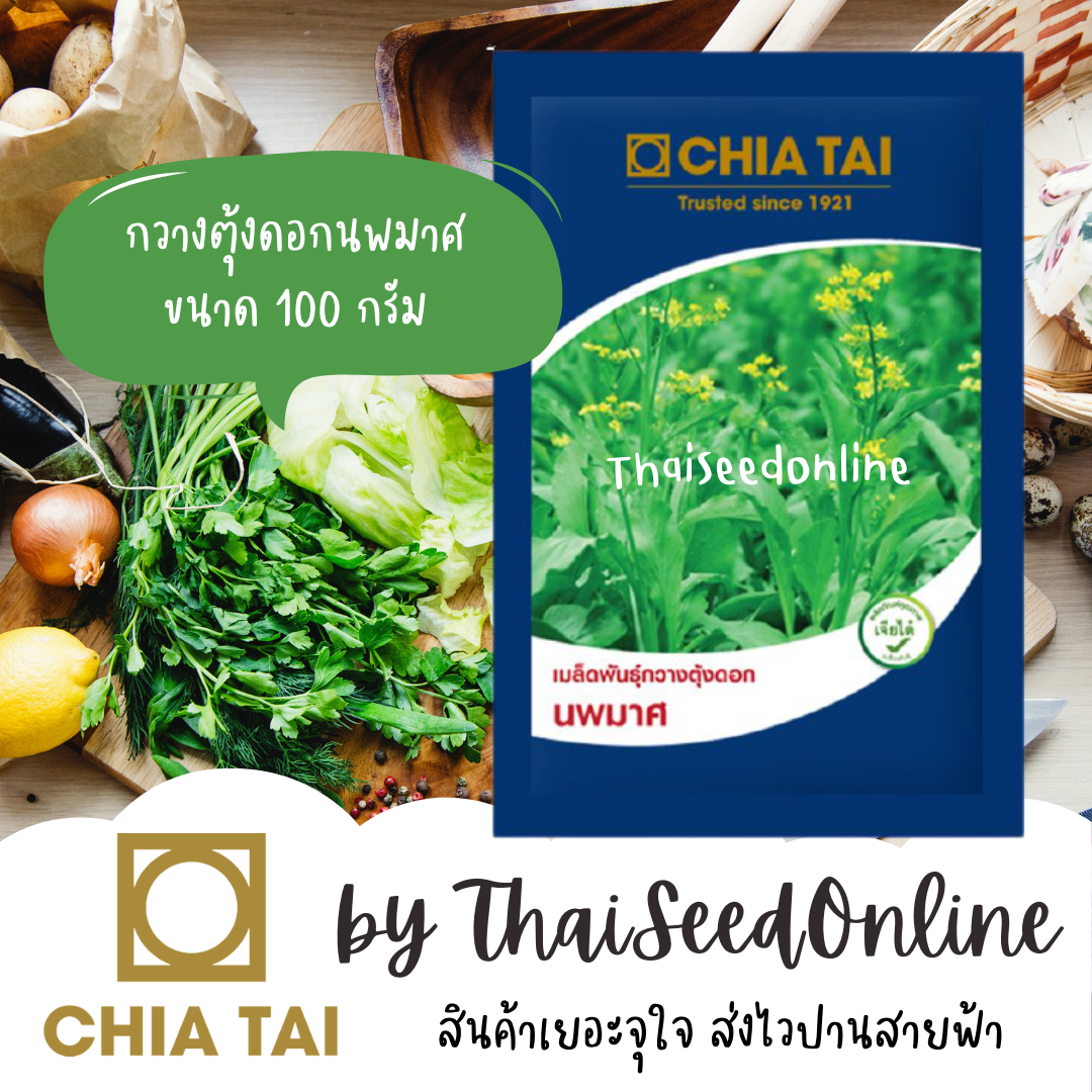 CTCOM ❤️แบบซองใหม่ล่าสุด❤️ 100 กรัม กวางตุ้งดอก นพมาศ ตราเจียไต๋ 100 กรัม กวางตุ้งดอกต้นขาว