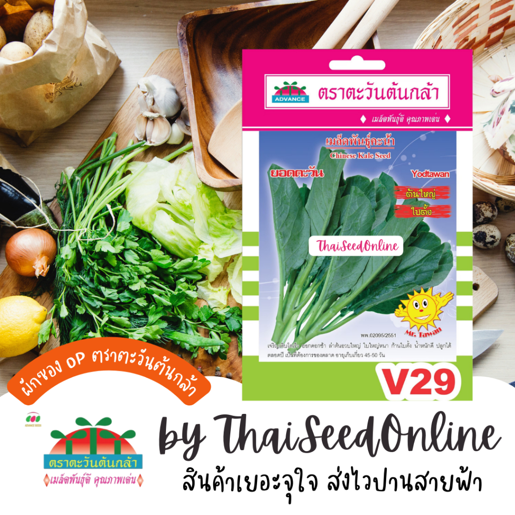 Advance Seeds(ตราตะวันต้นกล้า) ADVOP ซฟ เมล็ดพันธุ์ คะน้ายอด ยอดตะวัน ประมาณ 1000 เมล็ด ตราตะวันต้นกล้า V29
