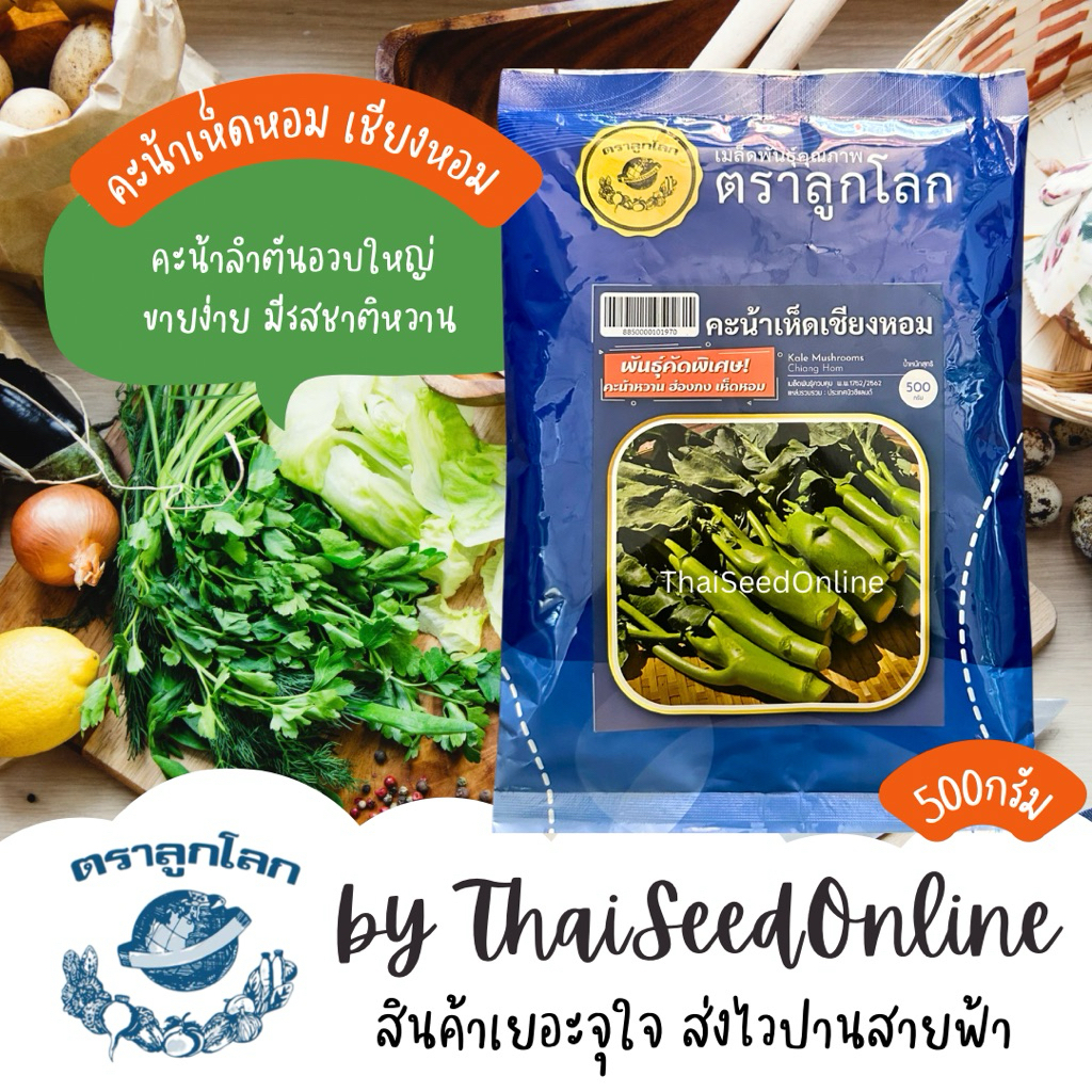 Juijia(จุยเจีย) NTC ถุง 500 กรัม เมล็ดพันธุ์ คะน้าเห็ดหอม คะน้าหวาน เชียงหอม ตราลูกโลก Mushroom Kale