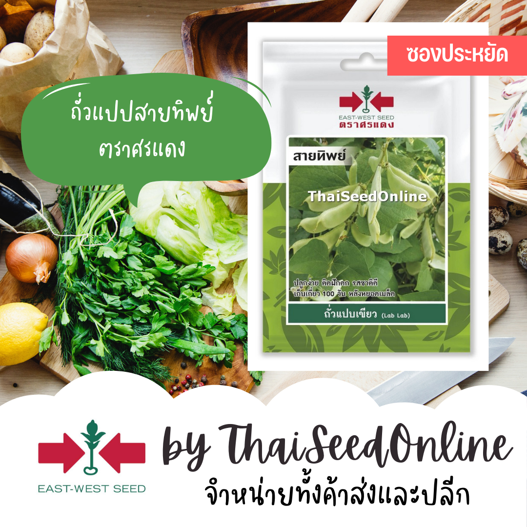 ศรแดง VP3 ซฟ เมล็ดพันธุ์ ถั่วแปปเขียว สายทิพย์ 10เมล็ด ตราศรแดง Snap Pea
