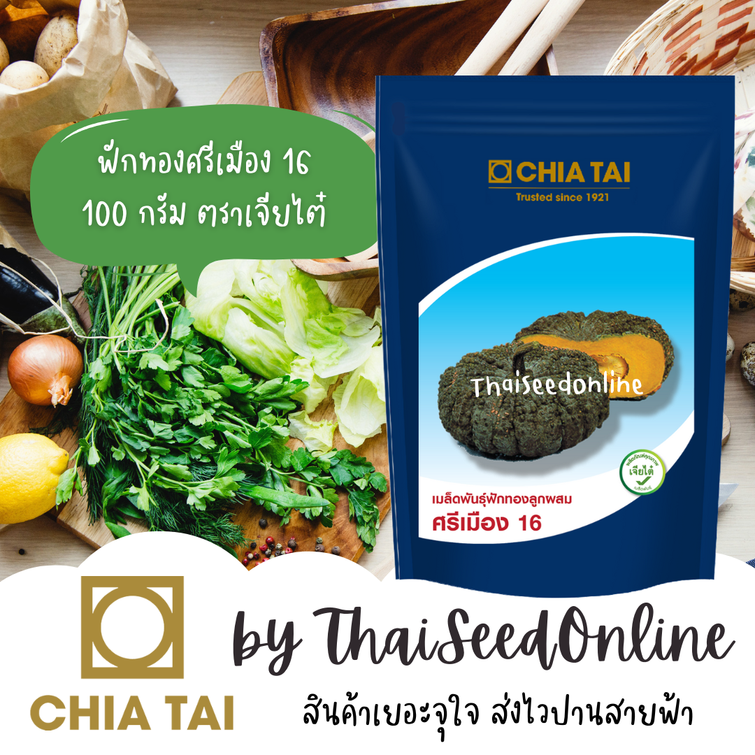 CTCOM 100 กรัม เมล็ดพันธุ์ ฟักทองศรีเมือง 16 ตราเจียไต๋ ศรีเมือง16