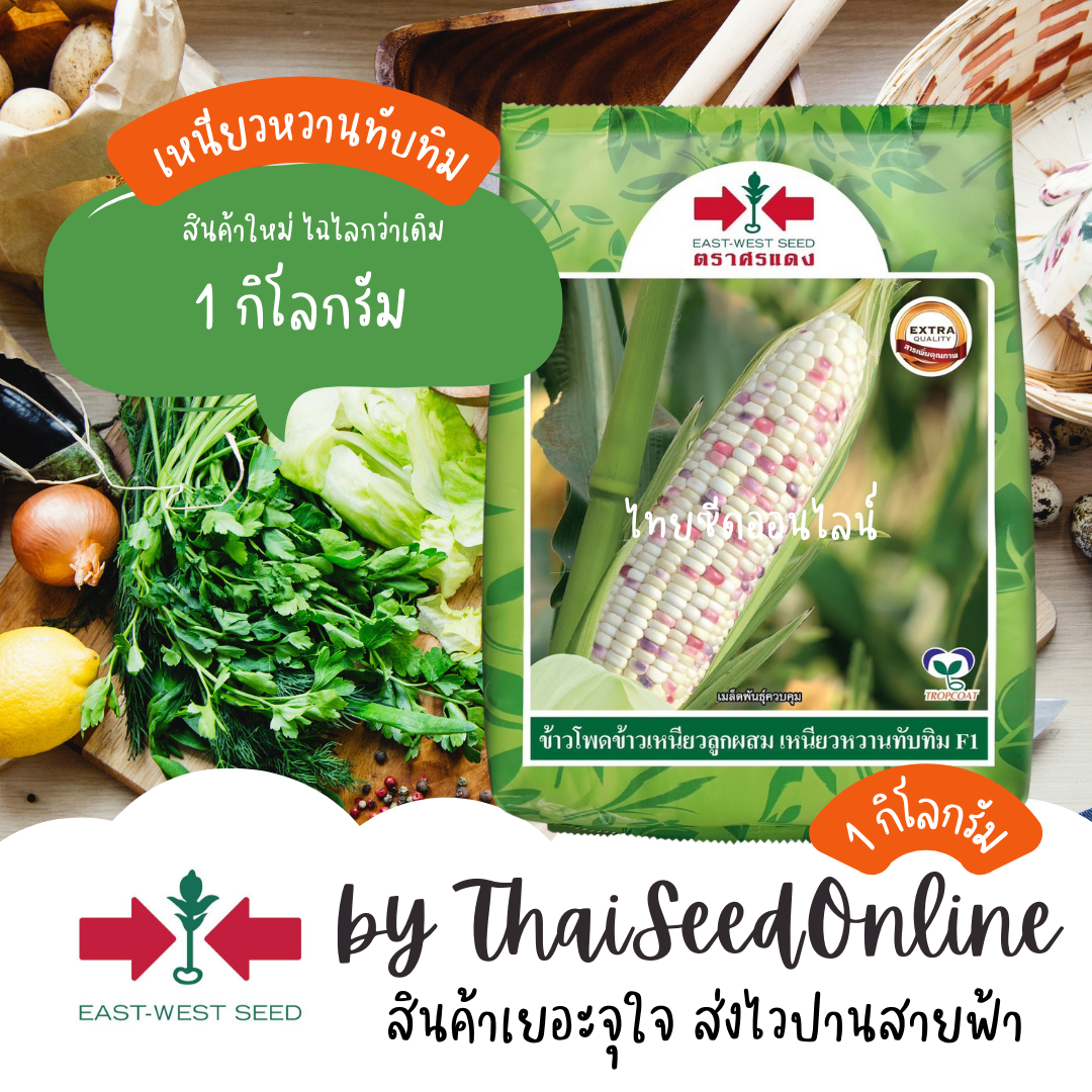 EWCOM 1กก. ข้าวโพดลูกผสมข้าวโพดข้าวเหนียว เหนียวหวานทับทิม ขนาด 1 กิโลกรัม ตราศรแดง Corn