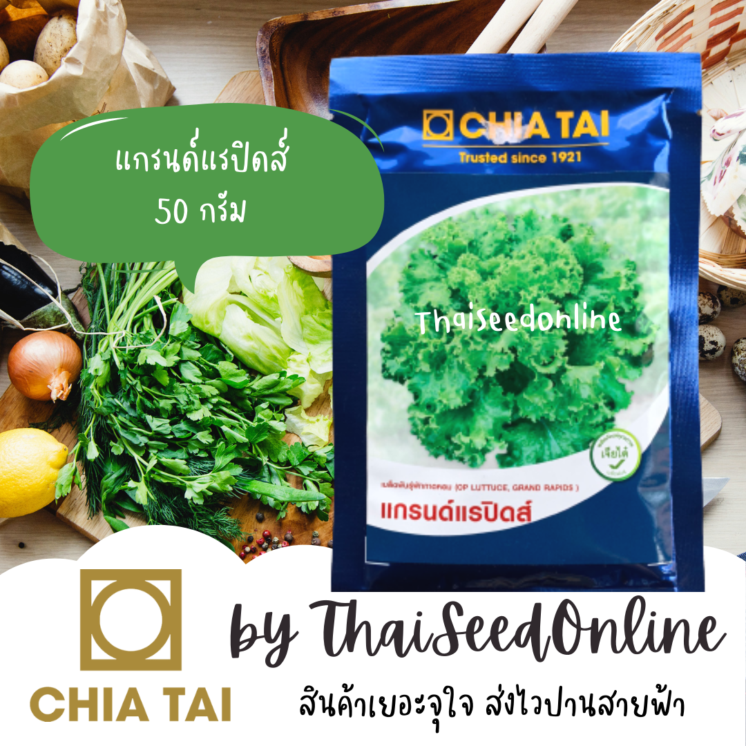 CTCOM ❤️แบบซองใหม่ล่าสุด❤️50กรัม Exp. 7/69 เมล็ดผักกาดหอมแกรนด์แรปิดส์ ผักสลัด Lettuce ตราเจียไต๋