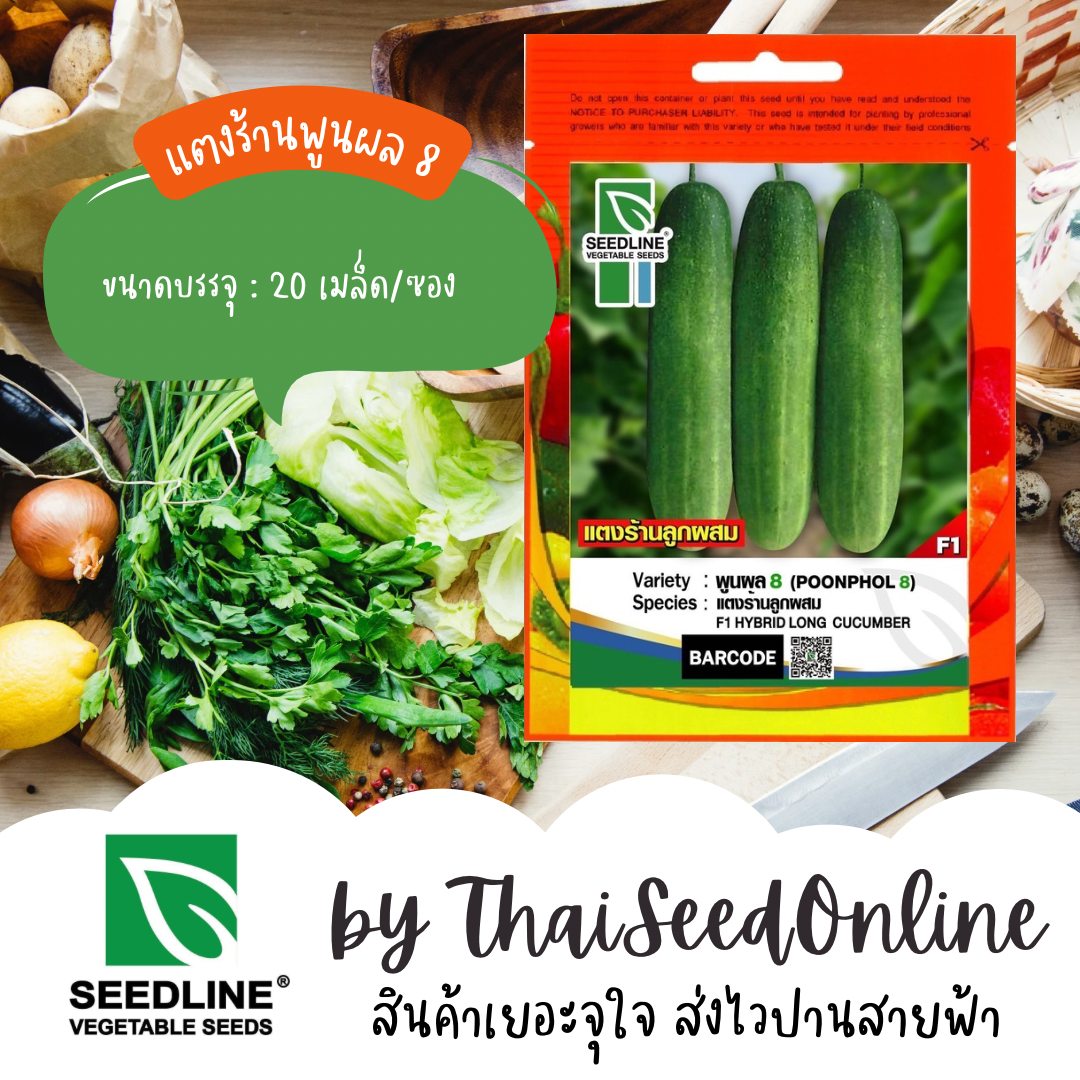 SL เมล็ดพันธุ์ซองเล็ก พูนผล 8 ตราซีดไลน์ (POONPHOL 8) Cucumber