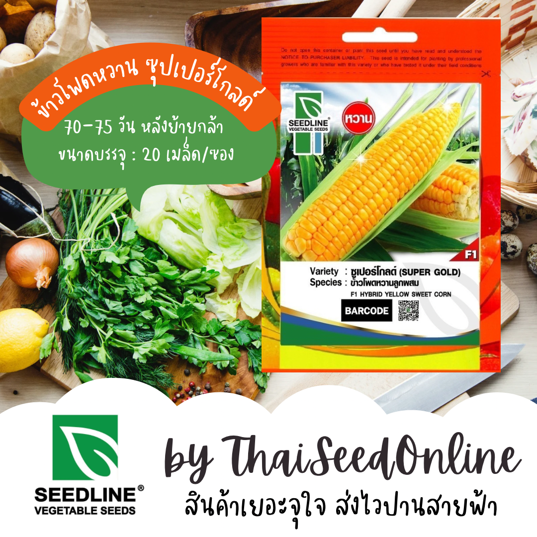 SL เมล็ดพันธุ์ซองเล็ก ข้าวโพดหวานลูกผสม ซุปเปอร์โกลด์ (SUPERGOLD) ตราซีดไลน์ Corn ซูเปอร์โกลด์
