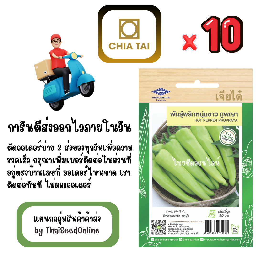 CTF1 x 10 เมล็ดผักซองเจียไต๋ พริกหนุ่มขาว ภูพญา สินค้ายกแพ็ค